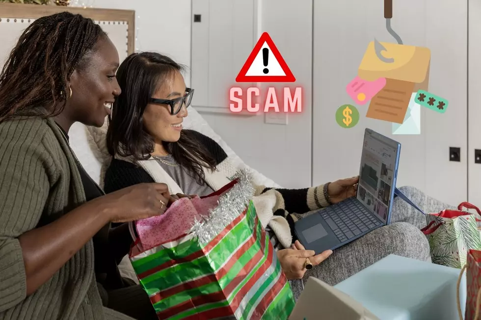 BEWARE: Online Shopping Scams are the Modern Day Grinch