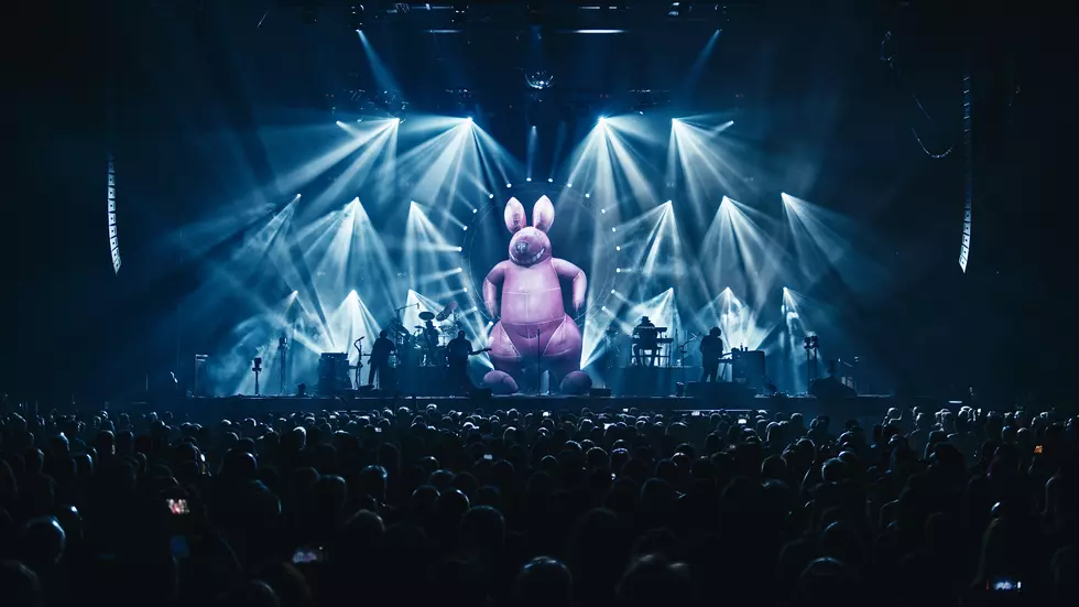 The Australian Pink Floyd Show Comes to Albany This Summer, Wanna Go?
