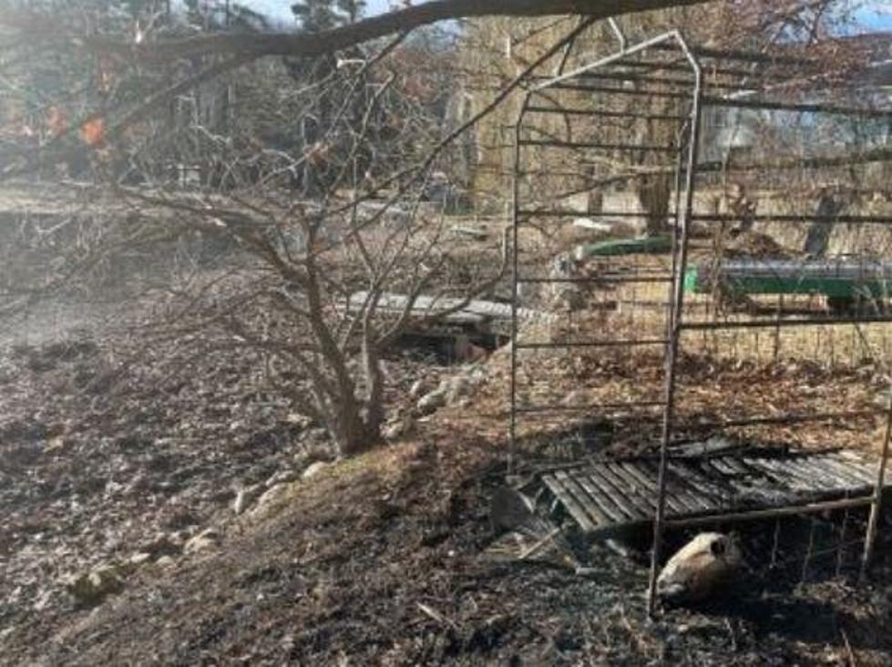 New York Man Mistakenly Sets Gazebo On Fire, It Wasn&#8217;t His Gazebo