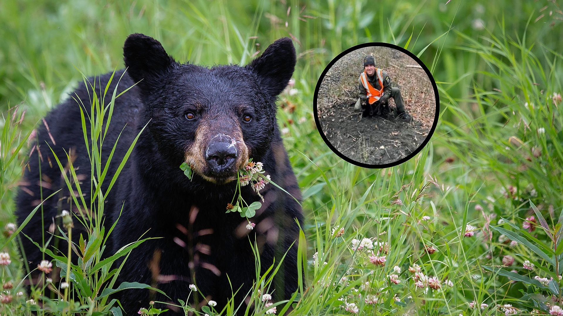 New York Officer Uses Hoodie To Rescue 2 Bear Cubs