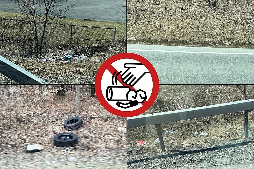 Do You Think We Have a Litter Problem in Upstate New York?