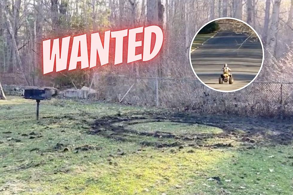 New York Police Need Your Help, ATV Driver Causes Vandalism