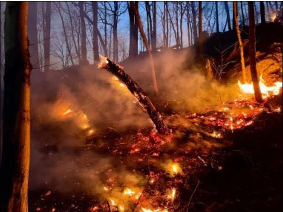 New York State Fire Danger Is High; Here’s One Reason Burning Trash Is Illegal