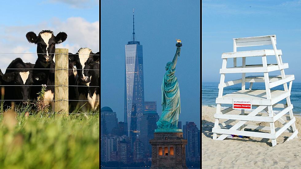 10 Things People Say When They Hear You Are From New York