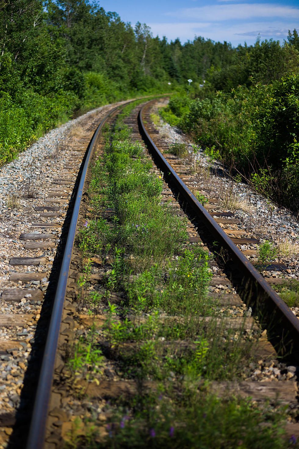 The Two Best Rail Trails in Upstate New York According To Travel + Leisure!