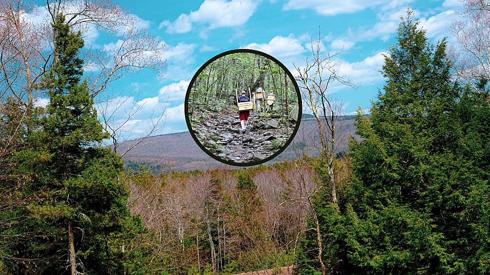 New York Forest Rangers Issue Ticket for Unlawful Dumping