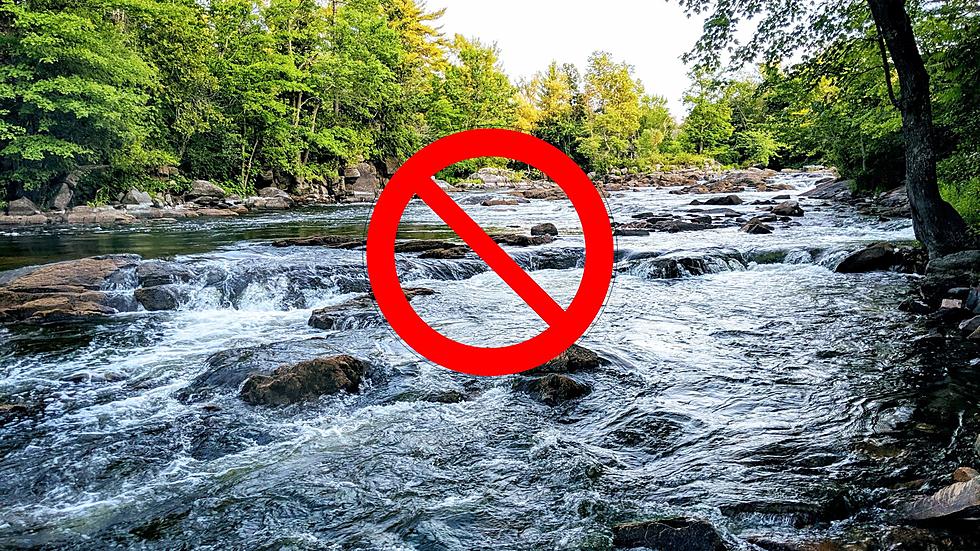 New York Rivers and Streams Are Being Ruined, Stop Building Rock Dams
