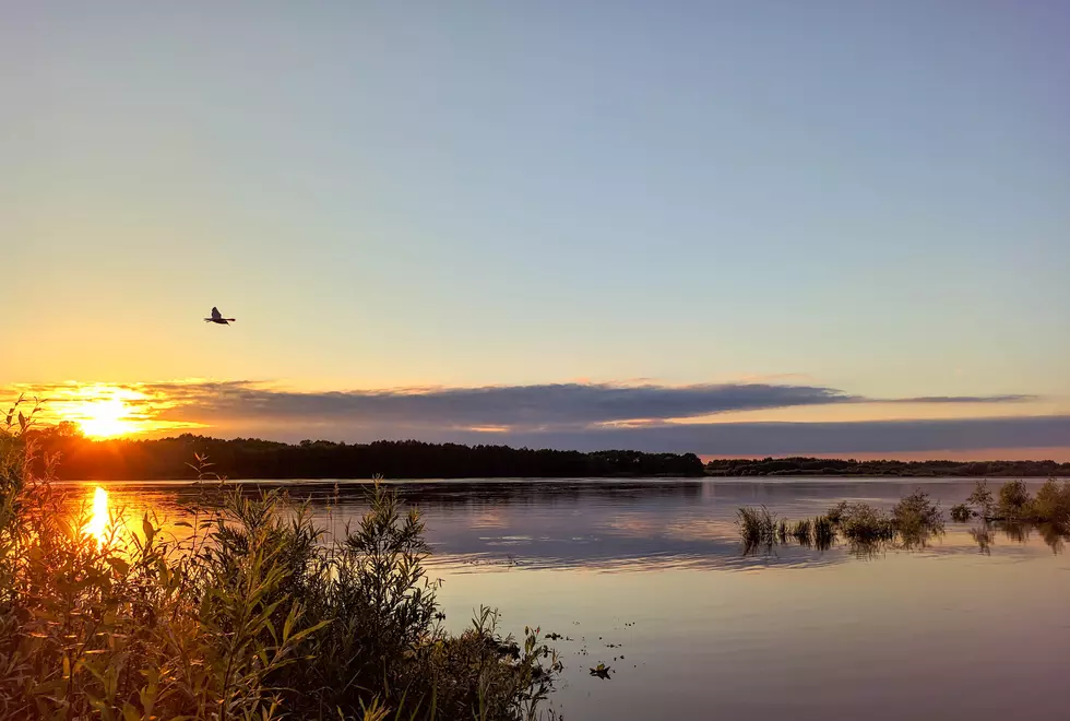 Photo by Andrew Reshetov on Unsplash