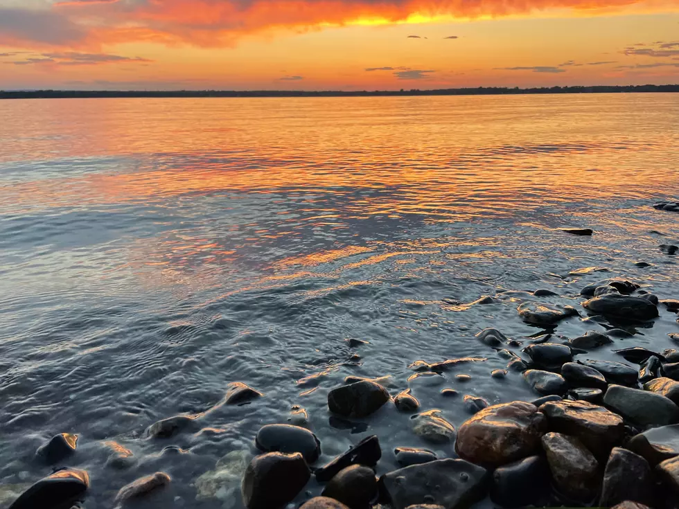 Photo by Megan Swanson on Unsplash
