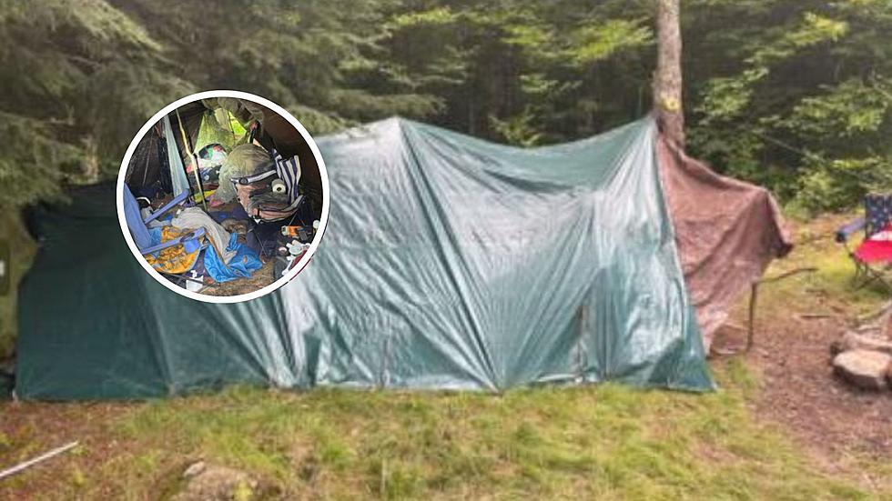 New York Officers Discover Two Illegal Camps On State Land, Man Evicted