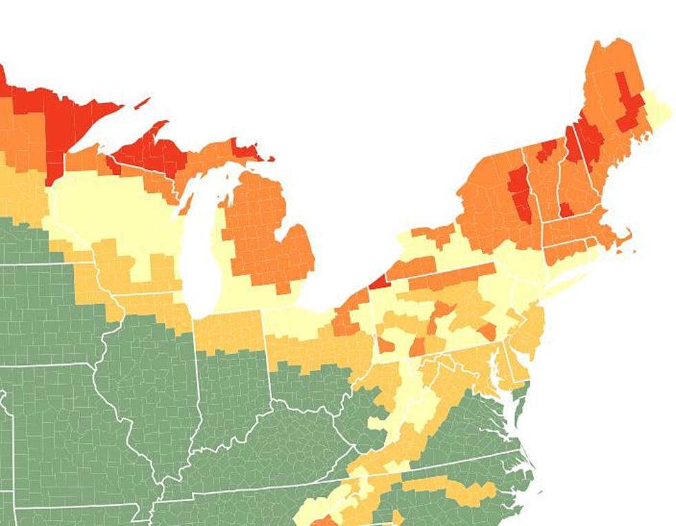 New York 2023 Fall Foliage Conditions! This Is When to See Peak Colors!