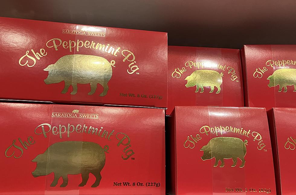 This Holiday Tradition Was Born In New York State, Are You Familiar With the Peppermint Pig?
