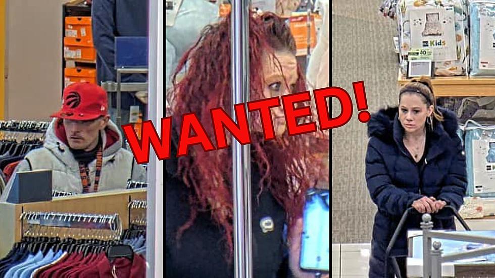 New York State Police Seek Your Help, Know These Individuals?