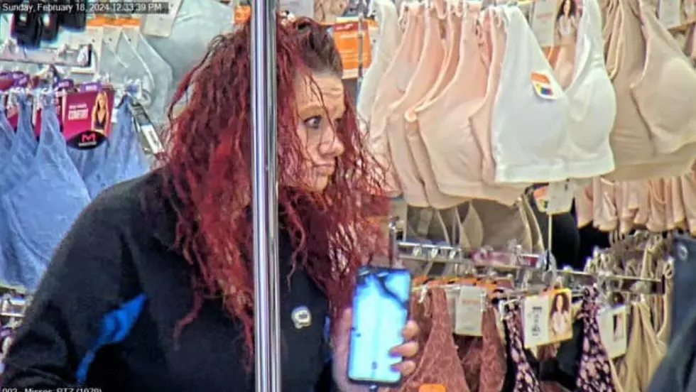 518 news, wanted by New York State Police, Kohls, Auburn