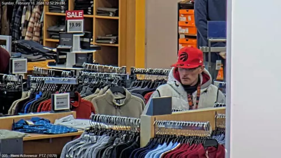 518 news, wanted by New York State Police, Kohls, Auburn
