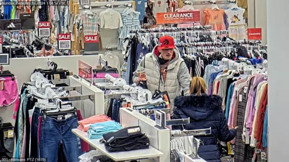 518 news, wanted by New York State Police, Kohls, Auburn