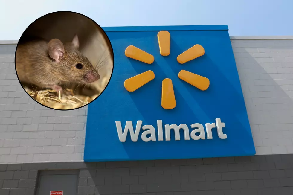 Viral Photo of Rat at Albany New York Walmart Is an Internet Hoax