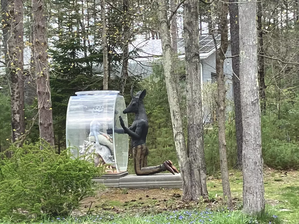 Spotted In the Woods Of New York State, What Is This Strange Half-Man, Half-Deer Sculpture?