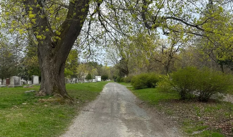 This Historic Albany Cemetery is The Perfect Spot To Get Some Steps In
