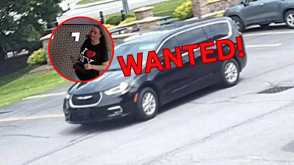 New York State Police Seek Your Help Identifying This Individual