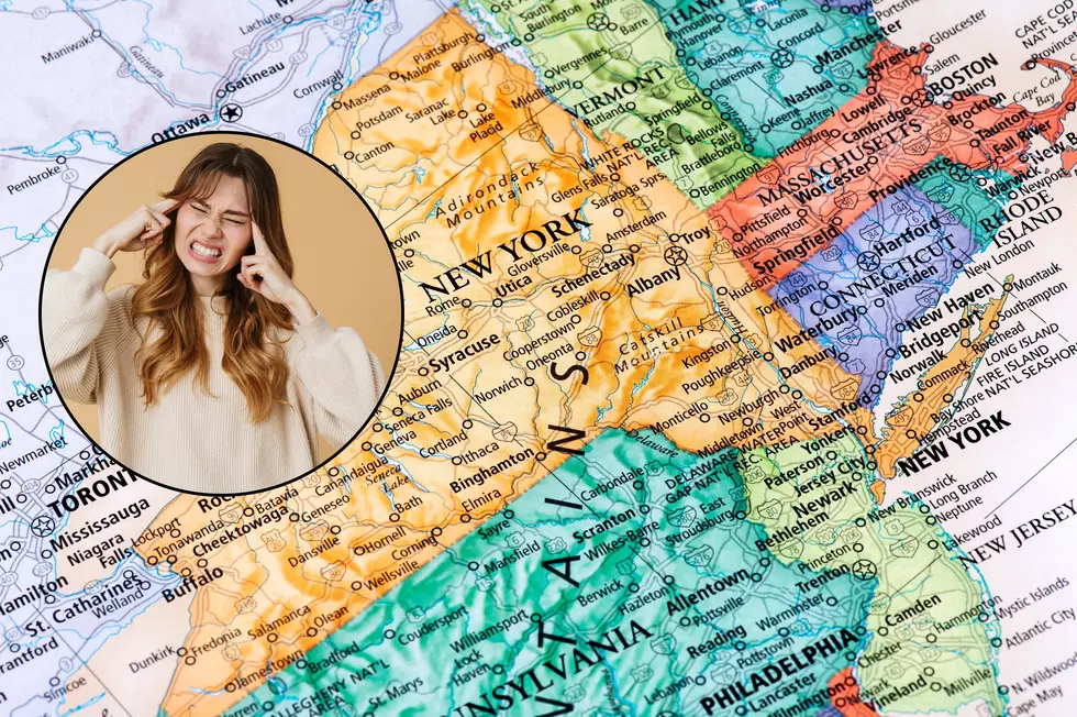 These Are Some Of Upstate New York&#8217;s Biggest Pet Peeves