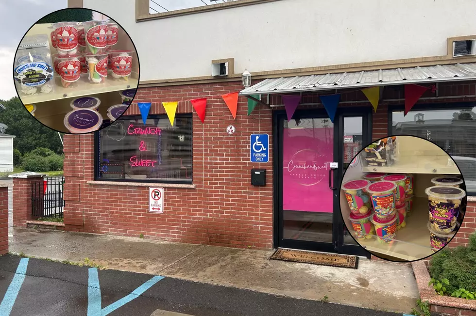 Brand New Freeze Dried Candy Shop Opens Up in Albany