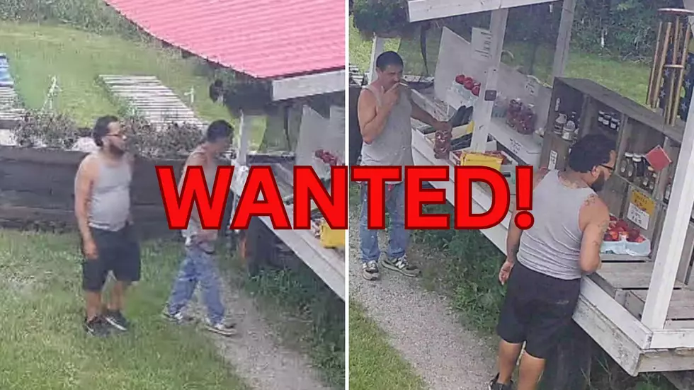 New York State Police Seek Your Help Identifying These 2, Accused of Stealing From an Upstate Farm Stand