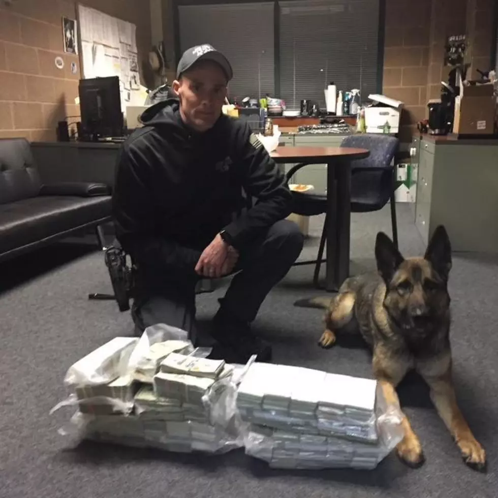 518 News, New York State Trooper K-9 Dunn, New York State Police Troop K, Fishkill, Pawling