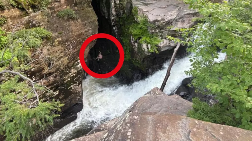 Rope Teams Pulled A New York Man And His Dog From A 24-foot Waterfall