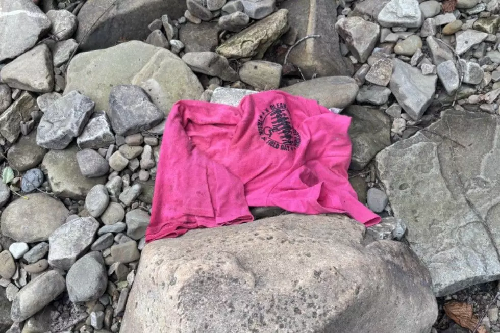 Two New York Hikers Hid In A Hunter’s Camp After A Bear Chased Them