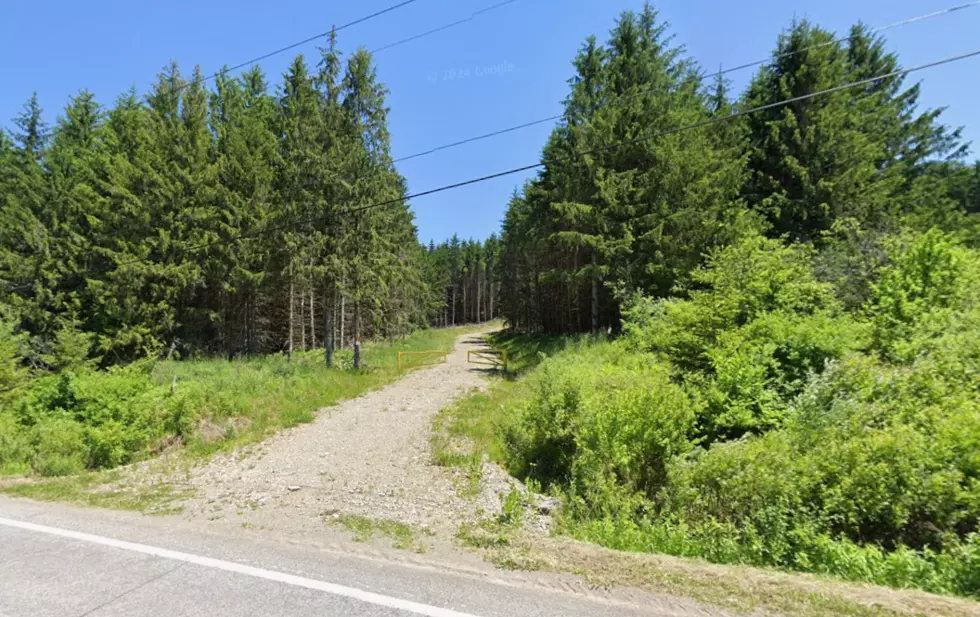 100 Teens Moved Between Two NY State Forests To Avoid Rangers