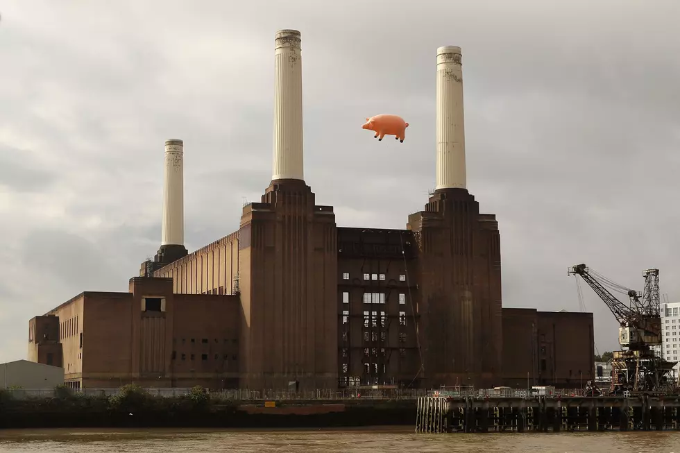 Brit Floyd Return to Capital Region to Celebrate Animals 50