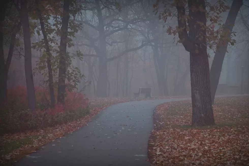 Halloween 2026 Forecast For Upstate New York