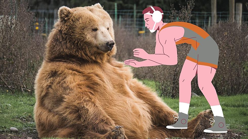 Sorry, But Bear Wrestling is Still Illegal in Missouri