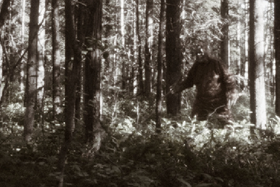 How Can We Prove Bigfoot Is Real? How About Using DNA?