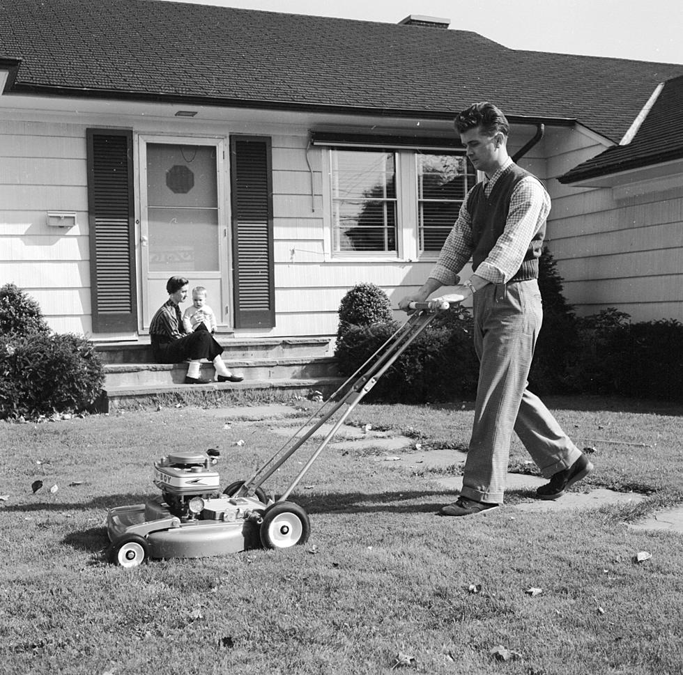 Xeriscaping 101: The Traditional Lawn May Not Be Best For You