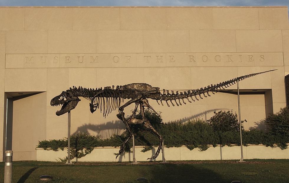 Museum Of The Rockies Receives $50,000 From Wells Fargo