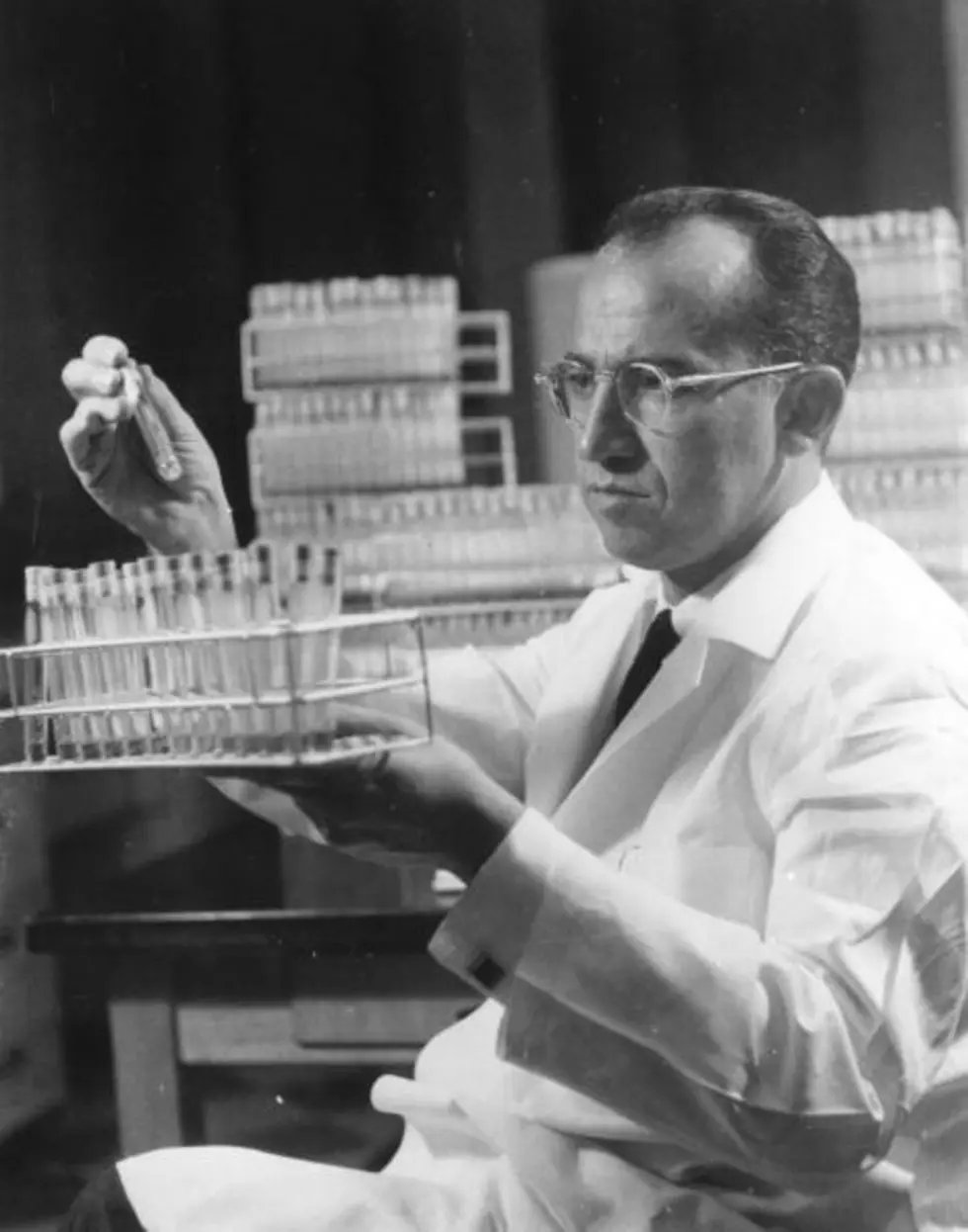 Google Remembers Jonas Salk On 100th Birthday