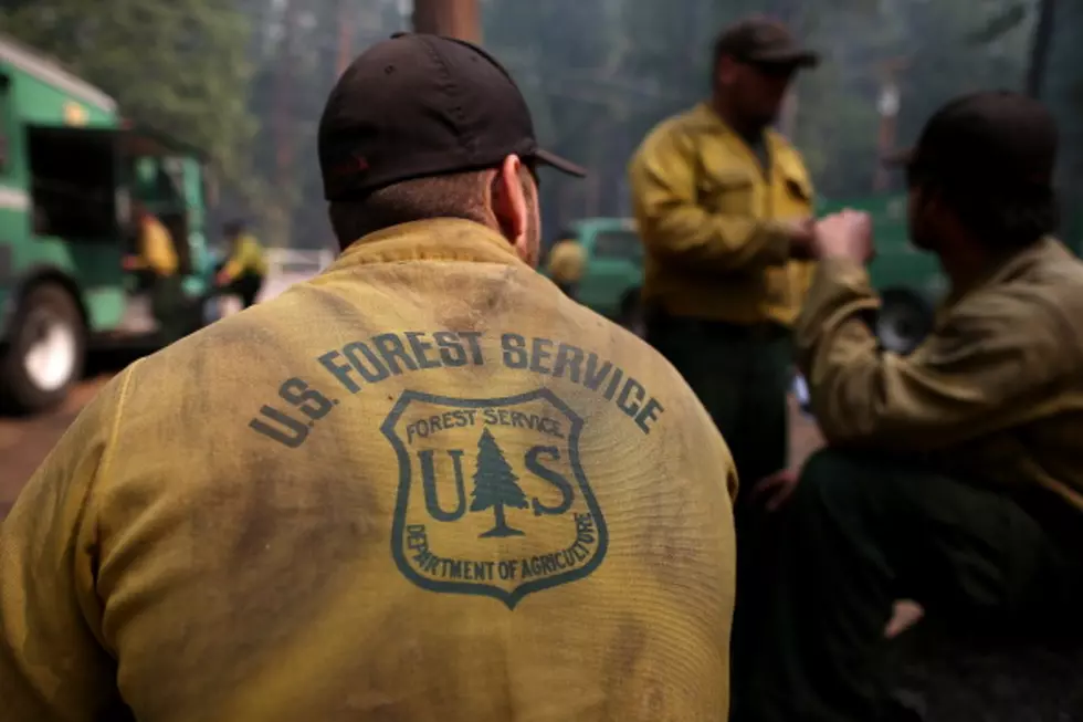 Forest Service Predicts Above Normal Fire Potential in Much of the West