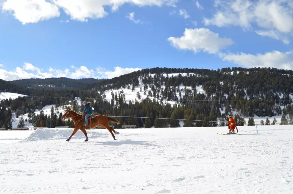 320 Guest Ranch to Host 6th Annual Skijoring