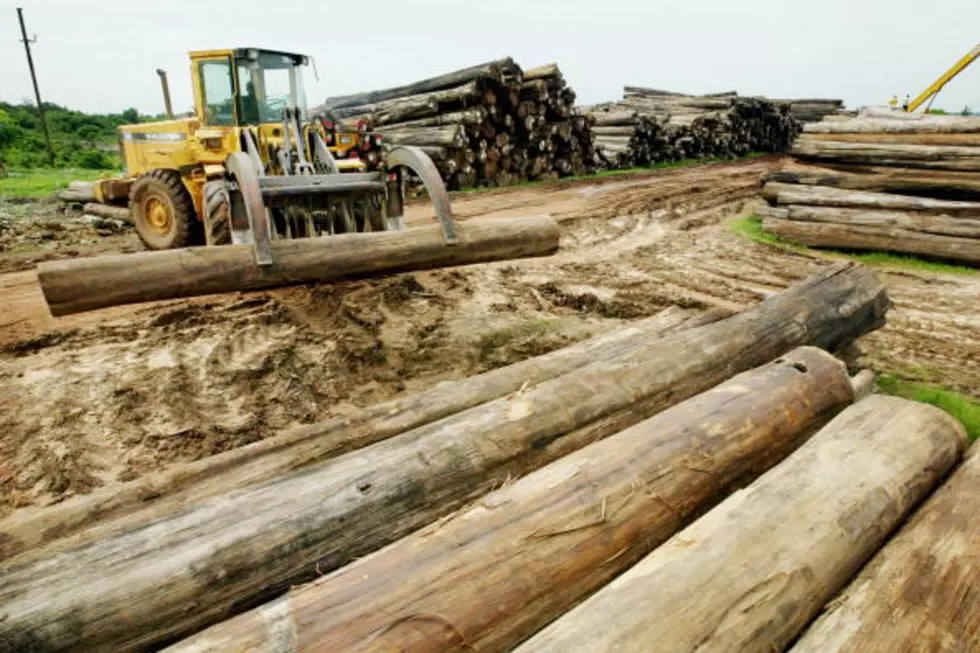 Senators Urge Trade Ambassador to Fight for New Softwood Lumber Agreement