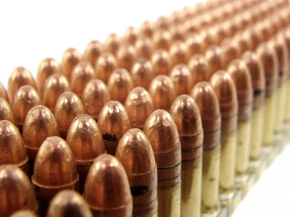 Bozeman Ammunition Company Operators Plead Guilty