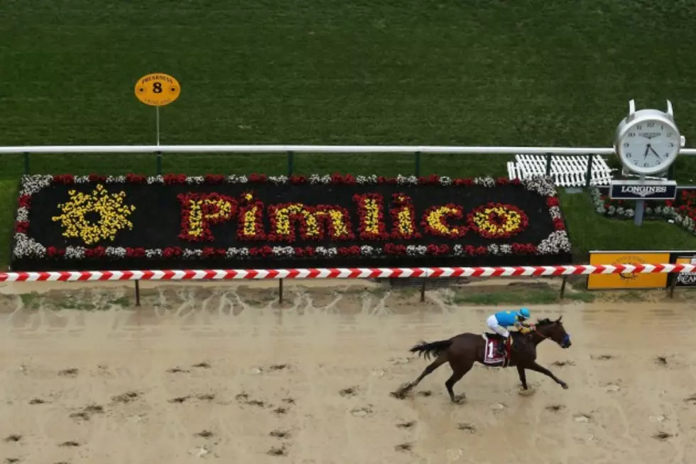 American Pharoah Wins Preakness, Can Capture Triple Crown At Belmont