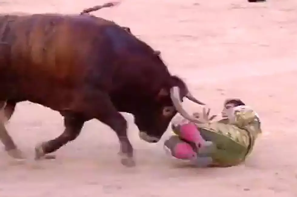 Bullfighter Gored for 8th Time Needs to Find New Line of Work