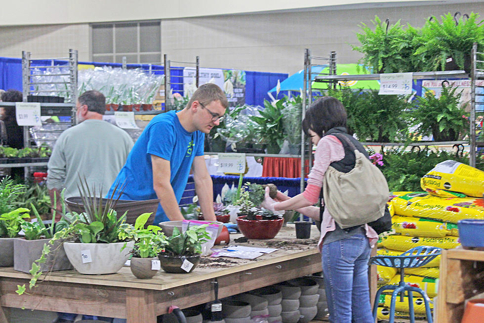 Become a Vendor at the &#8217;22 Dakota Garden Expo