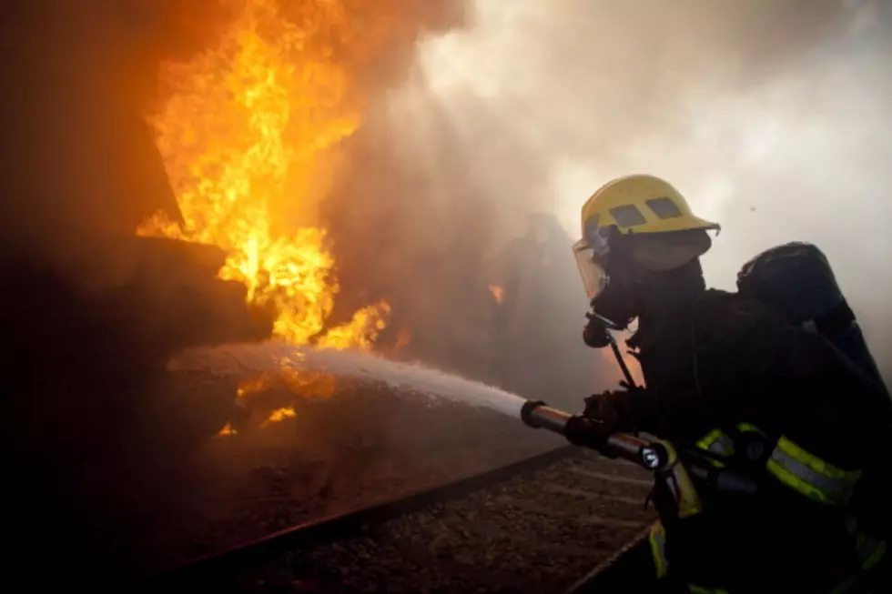 SAD: Local Farm Fire Kills Over 100 Animals