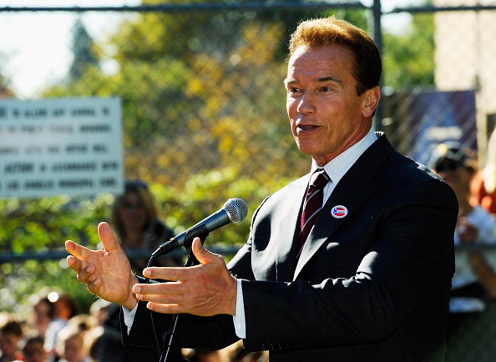 Schwarzenegger Saga Continues