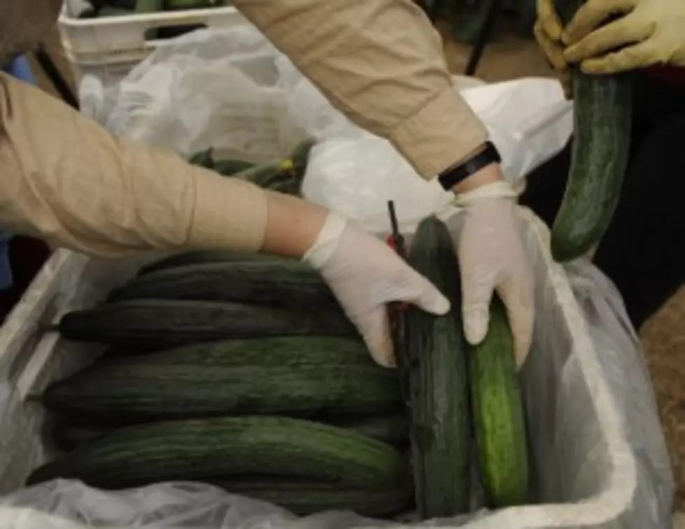 German E.coli Outbreak Blamed on Spanish Cucumbers