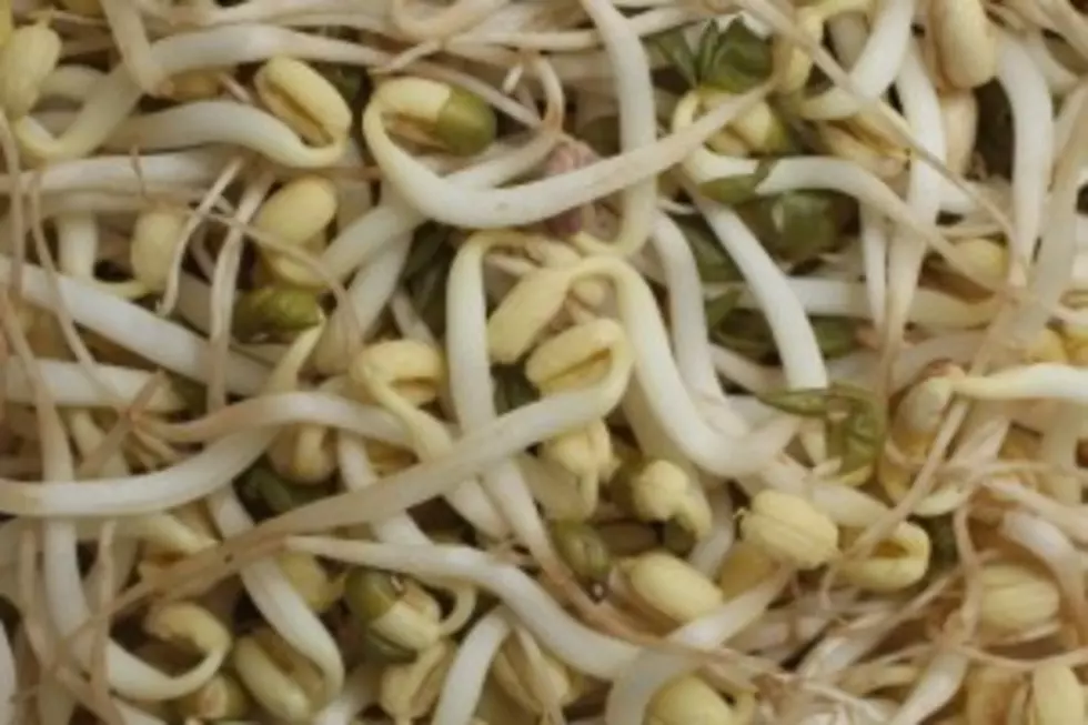 Sprouts Linked to Salmonella Outbreak