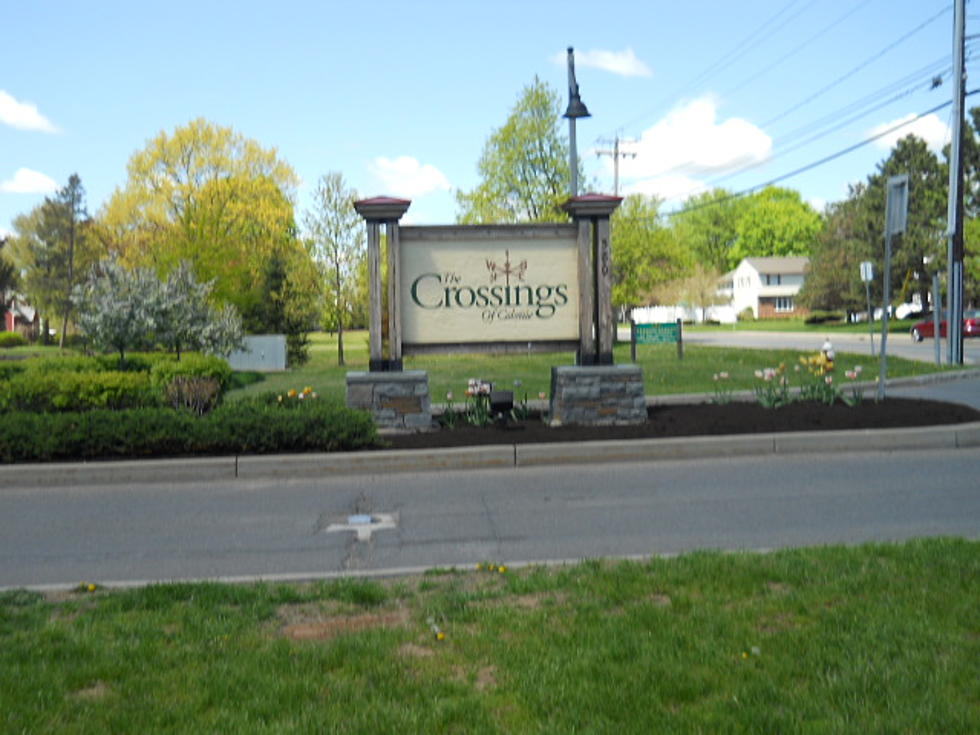 The Crossings, Pine Bush and One More Albany Area Day Trip